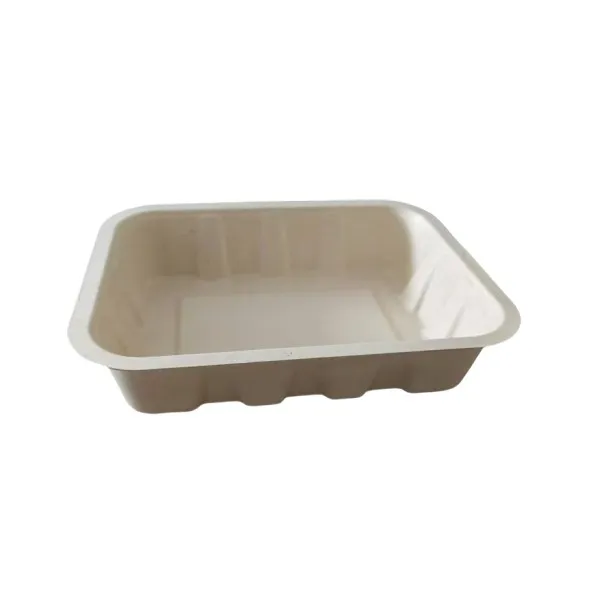 Durable Bagasse Food Tray For Pre-meal, Fruit Or Vegetable